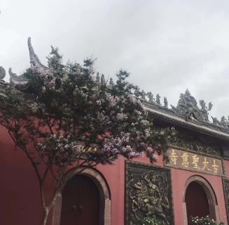 NG体育：助力公益活动建设，实现经济效益与社会效益的双赢！
